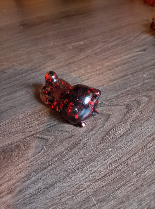 petits chats forme 1