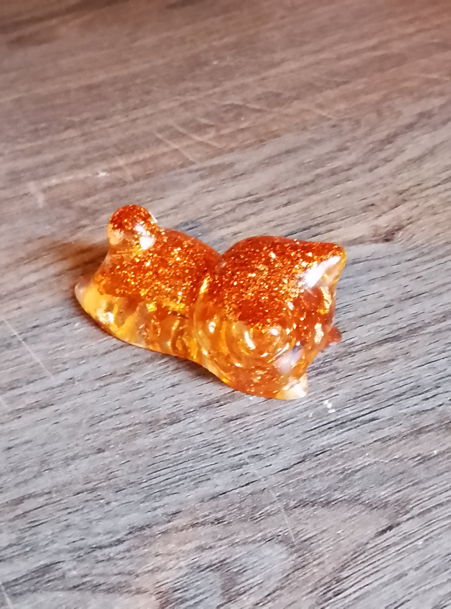 petits chats forme 1